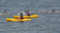 Sea Kayak and Cape Point Private Tour from Cape Town