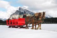 Horse-Drawn Sleigh Ride in Banff