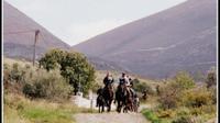 Horse Riding Excursions from Kalamata
