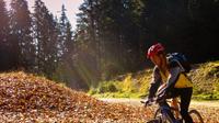 9-Day Private Cycling Tour des villages saxons de Roumanie de Bucarest