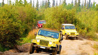 Full-Day Offroading in the Carpathians from Bucharest