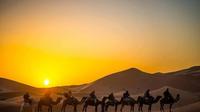 3-Day Merzouga Desert Tour from Marrakech with Camel Ride and Camp