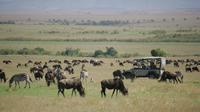 5 Days Safari Masai Mara And Samburu