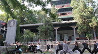 14-Day Shaolin Kung Fu Training Camp from Zhengzhou