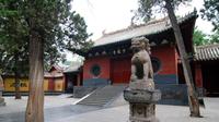 3-hour Shaolin Temple Walking Tour