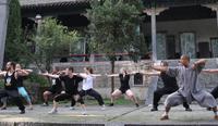 7-Day Shaolin Temple Kung Fu Retreat from Beijing