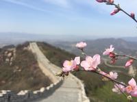 Private Hiking Day Tour: Yanqing Badaling Incomplete Great Wall