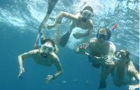 Snorkel and Sightseeing Tour on the Na Pali Explorer