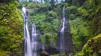 Bali Paradise Waterfall Trekking Tour