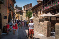 Billet d'entrée au village espagnol de Barcelone guide option with vidéo