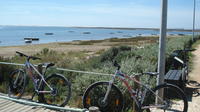 Moncarapacho - Tavira mountain and hybrid bike tour