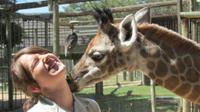 7-Day Private Wildlife Safari de Kruger Park