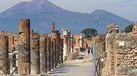 Full-Day Tour Vesuvius Herculaneum