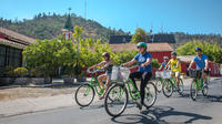 City Cruiser Bike Rental in Santiago