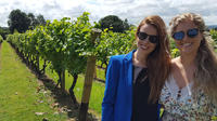 English Wine Tasting Tour to Sussex from London
