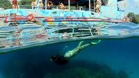 Half-Day Catamaran Tour of the Fernando de Noronha Archipelago