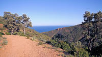 Private Round-Trip Transfer from Saint-Raphael Train Station to La Croix Valmer