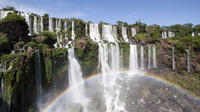 9-Day Best of Argentina Tour: Buenos Aires, Mendoza and Iguazu Falls