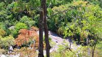 Mulanje Montagne 5-Day Trek