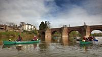 Full-Day Guided Canoe and Photography Safari in the Wye Valley from Monmouth