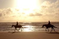 Horseback Beach Rides on Amelia Island