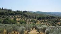 Hills of Florence Walking Tour with Morning Picnic