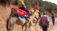 Private High Atlas Mountains Day Trip from Marrakech with Camel Ride