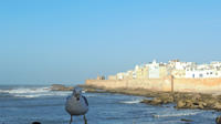 Small-Group Day Trip to Essaouira from Marrakech