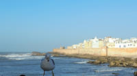 Petit groupe-Excursion d'une journée à Essaouira de Marrakech