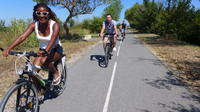 1 Day Charming Rides Through The Wonders Of Camargue 