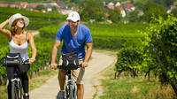 Visite privée : excursion de 6 heures en vélo dans la campagne alsacienne et découverte des vignobles, au départ de Strasbourg