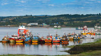 Full-Day Tour: Chiloe Istand Including Ancud, Castro and Dalcahue from Puerto Varas