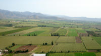 Full-Day Tour of Two Wineries in Casablanca Valley from Santiago