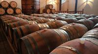 Full-Day Wineries Tour from Santiago