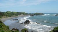 Island of Chiloe and The Penguins of Puñihuil from Puerto Montt