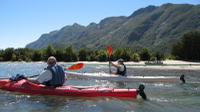 Kayaking in Patagonia from Puerto Varas
