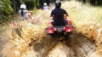 ATV and Canopy Tour From Flamingo Beach