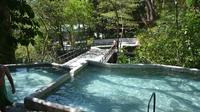 Full-Day Adventure: Natural Hot Spring with Mud Horseback Riding and Canopy Tour From Playa Hermosa