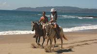 Horseback Riding Jungle and Beach in Playa Flamingo