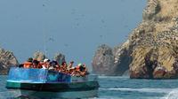 Full-Day Paracas Reserve and Ballestas Islands from Lima