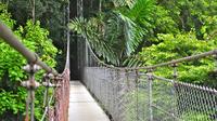 Mistico Hanging Bridges Park from La Fortuna