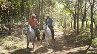 Overnight: Somoto Canyon and Miraflor Natural Reserve from León