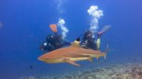 10-Day Diving and Sailing Cruise from Huahine to Bora Bora