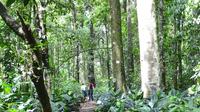 Day Tour to Otun Quimbaya's Flora and Fauna Sanctuary