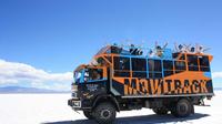 Movitrack Safari Tour to Puna, Salt Falts and Purmamarca from Salta