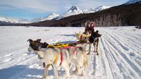 Snow Racket Trekking and Dog Sled Night Tour from Ushuaia