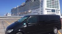 Private Transfer from Civitavecchia Port to Hotel in Rome - Tour Option Available