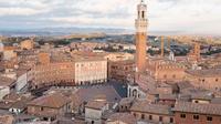 Siena and San Gimignano 1 Day Trip from Rome - Semi Private Tour