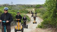 Gold Coast Segway Safari Adventure - 90 image 1 Gold Coast Segway Safari Adventure - 90 image 1