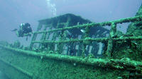 2-Tank Dive Trip in Las Terrenas for Certified Divers